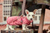 Hurtta Razzle-Dazzle Midlayer pinkki 60