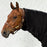 Back on Track Kaulakappale hevosen fleeceloimeen 145 cm