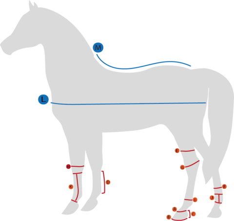 Back on Track Fleeceloimi hevoselle kiinteällä kaulakappaleella 145 cm