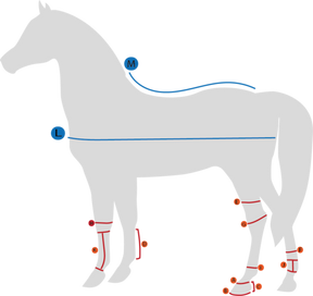 Back on Track Fleeceloimi hevoselle 145 cm