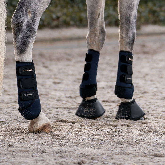 Back on Track Ratsastussuojat Opal hevoselle, taakse musta L