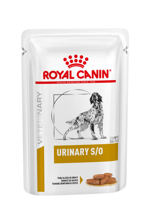 Royal Canin Veterinary Diets Urinary S/O CIG annospussi koiran märkäruoka 48 x 100 g SÄÄSTÖPAKKAUS
