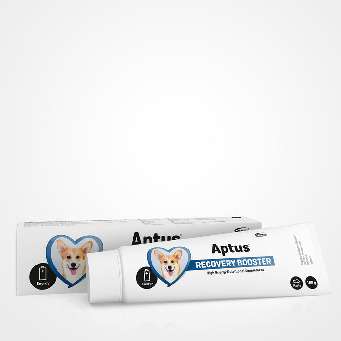 Aptus Recovery Booster koiralle 100 g