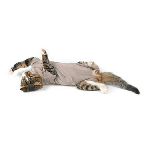 Buster Body suit Step'n go suojabody kissoille XXXS