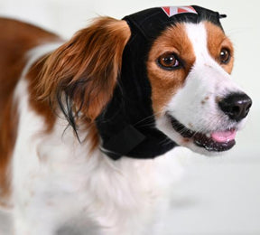 Buster Ear Cover korvasuoja koiralle M