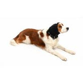 Buster Ear Cover korvasuoja koiralle XXL