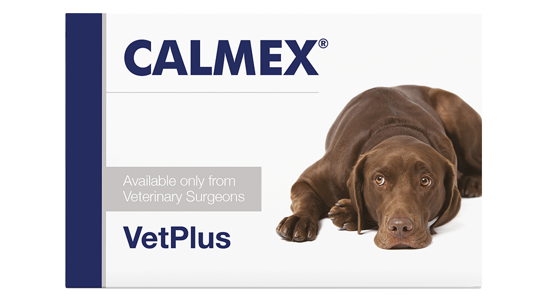 Calmex koiralle 10 tablettia