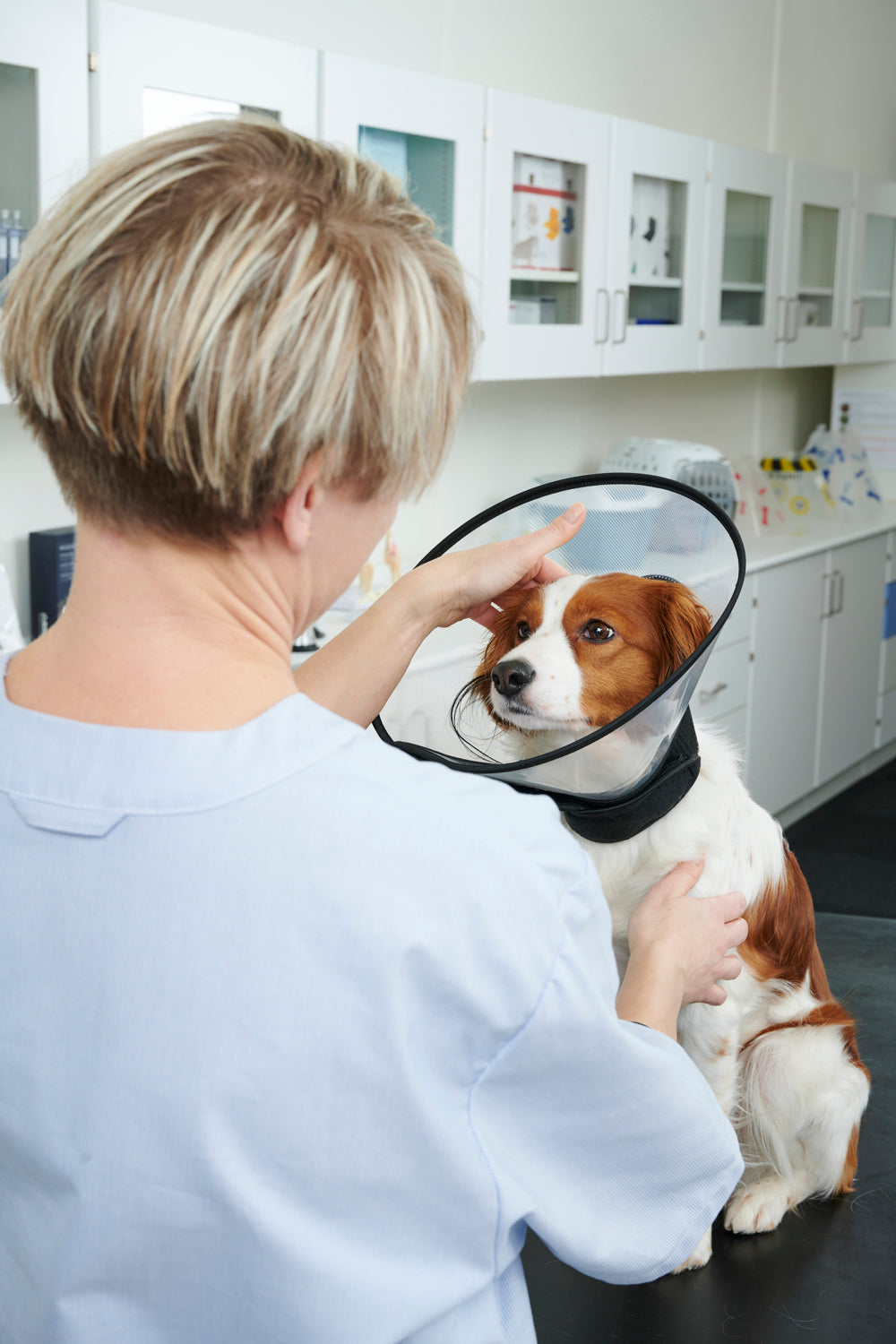 Buster Complete Kauluri 10 cm