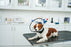 Buster Complete Kauluri 20 cm