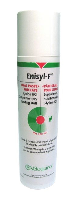 Enisyl-F pasta kissalle 100 ml