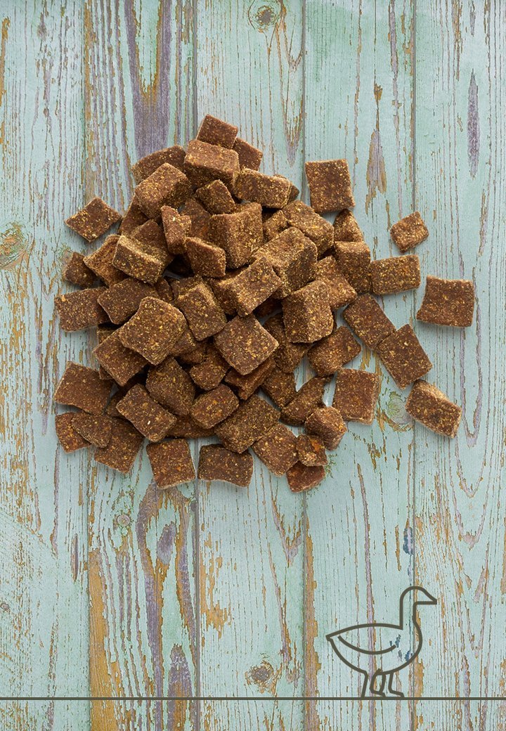 Vet Concept Lihaherkku Ankka 250 g
