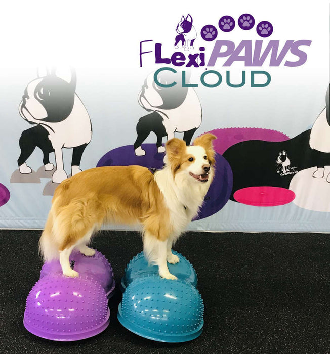 FlexiPAWS Cloud koiralle violetti
