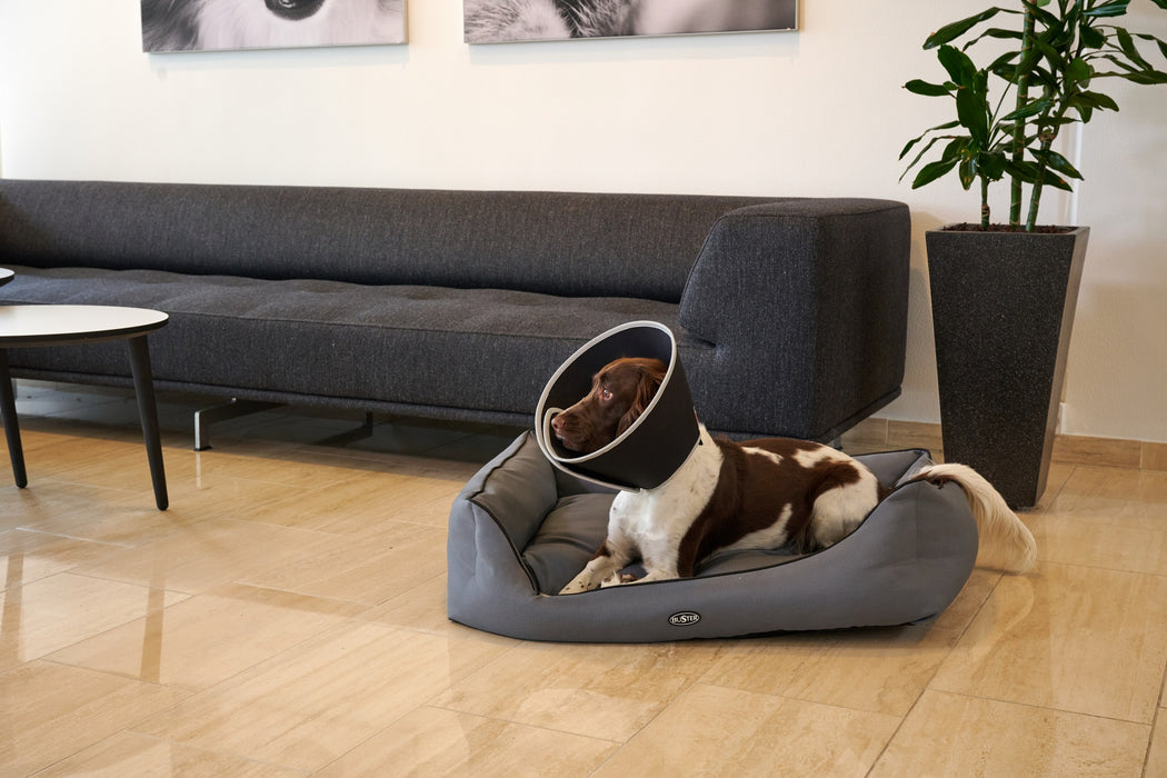 Buster Foam pehmokauluri 15 cm