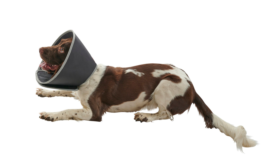Buster Foam pehmokauluri 15 cm