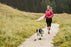 Hurtta Hiker Treenivyö/Juoksuvyö