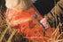 Hurtta Swimmer Liivi oranssi camo XL