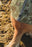 Hurtta Swimmer Liivi oranssi camo XL
