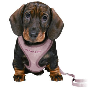 Trixie Junior valjas + talutin S-M lila