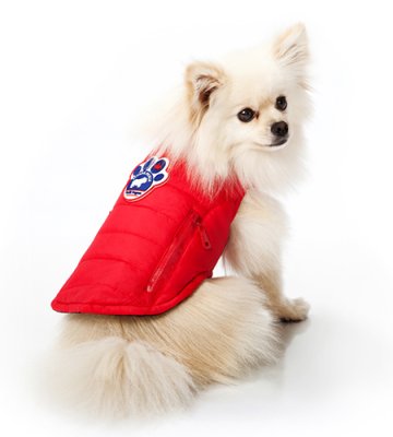 Canada Pooch Rain Runner Vest liivi punainen 25 cm