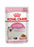 Royal Canin Kitten Gravy kissalle 12 x 85 g