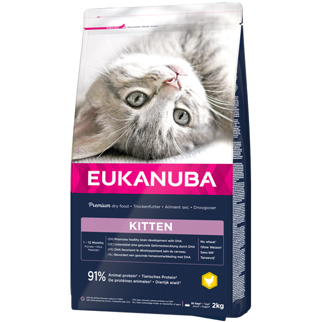 Eukanuba Feline Kitten Dry 2 kg