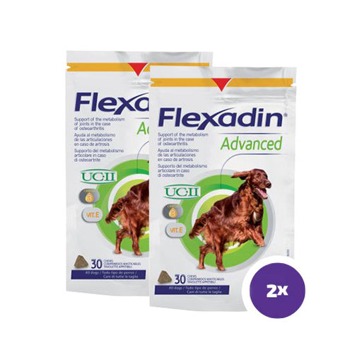 Flexadin advanced purutabletti koiralle 2 x 30 kpl TUPLAPAKKAUS