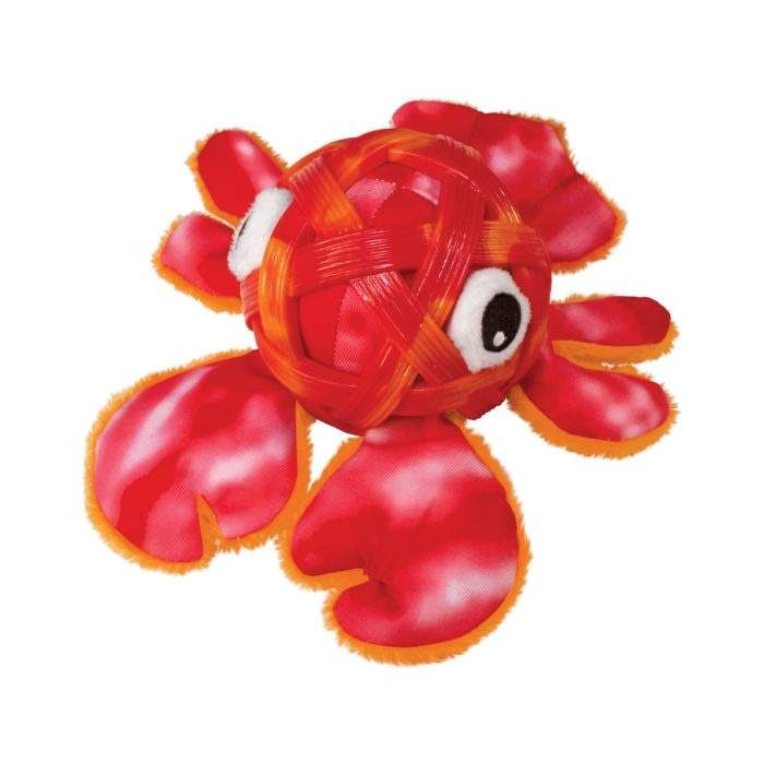 Kong Sea Shells hummeri M/L
