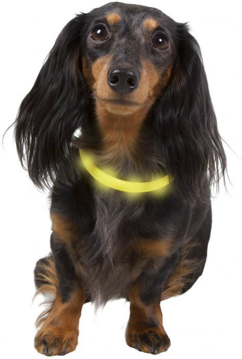 Best Friend Gear LED valopanta 70 cm säädettävä pinkki