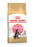 Royal Canin Maine Coon Kitten kissalle 10 kg