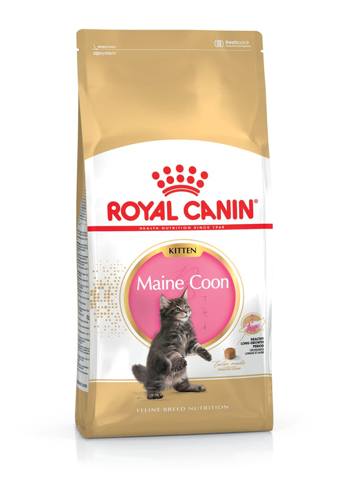 Royal Canin Maine Coon Kitten kissalle 10 kg