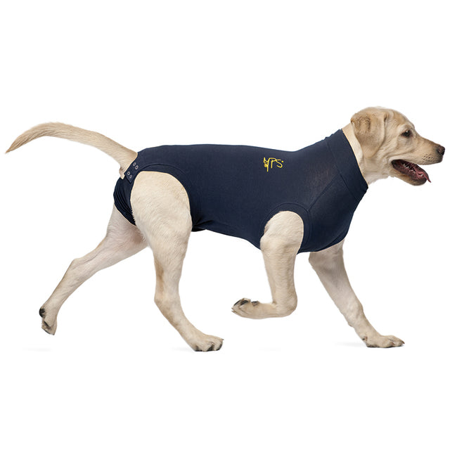 Medical Pet Shirt -toipilaspaita koirille L