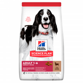 Hill's SP Adult Medium with Lamb & Rice koiralle 12 kg