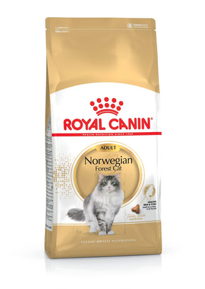 Royal Canin Norwegian Forest Cat kissalle 10 kg