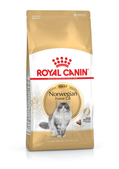 Royal Canin Norwegian Forest Cat kissalle 2 kg