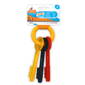 Nylabone Puppy Teething Keys purulelu pekoni S