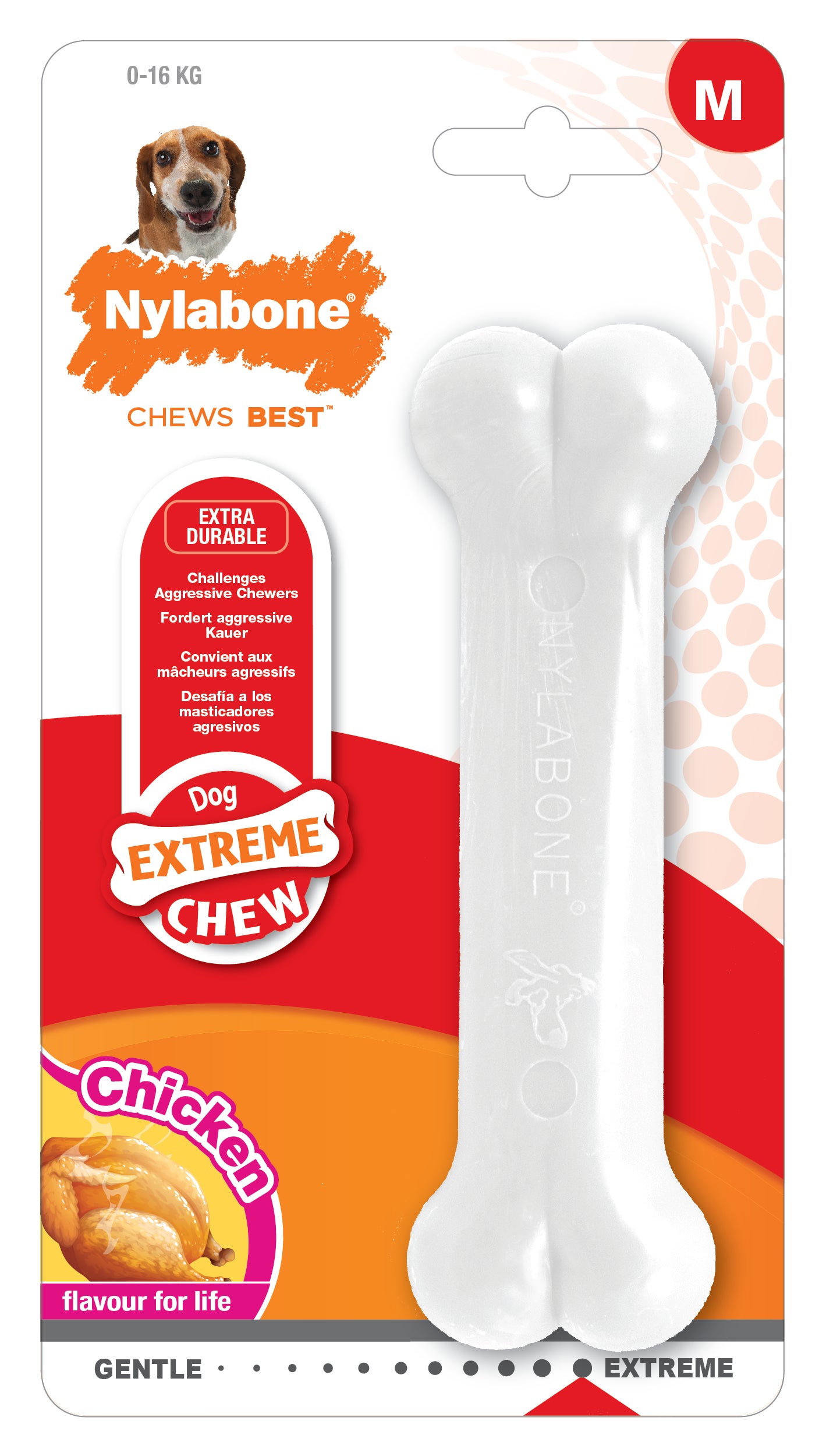 Nylabone Extreme Chew purulelu kana S