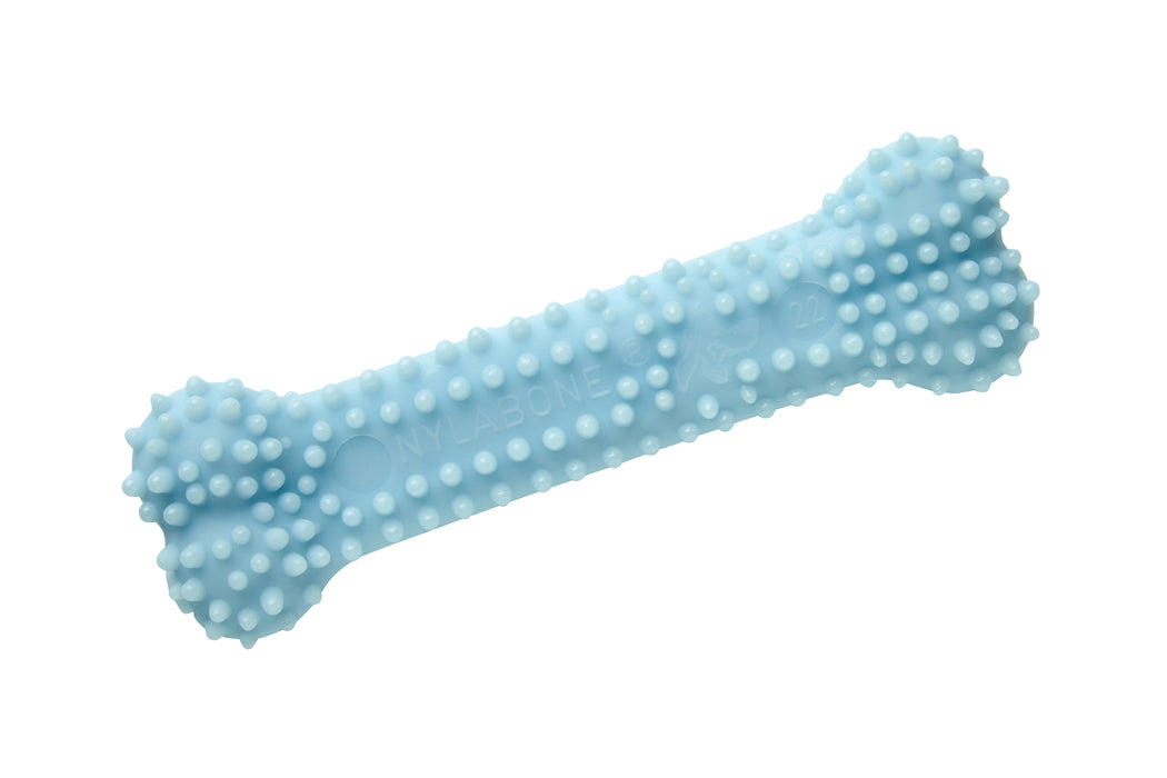 Nylabone Puppy Teething Dental Chew sininen purulelu kana XS