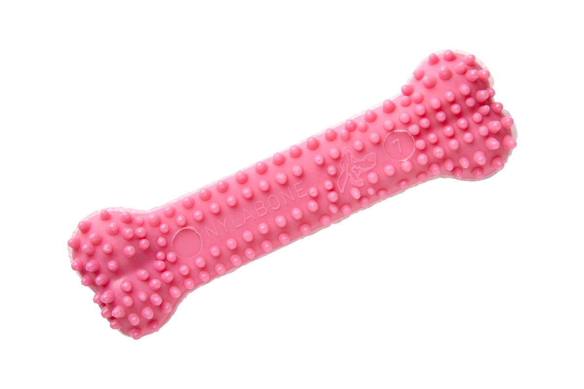 Nylabone Puppy Teething Dental Chew Pinkki purulelu kana XS