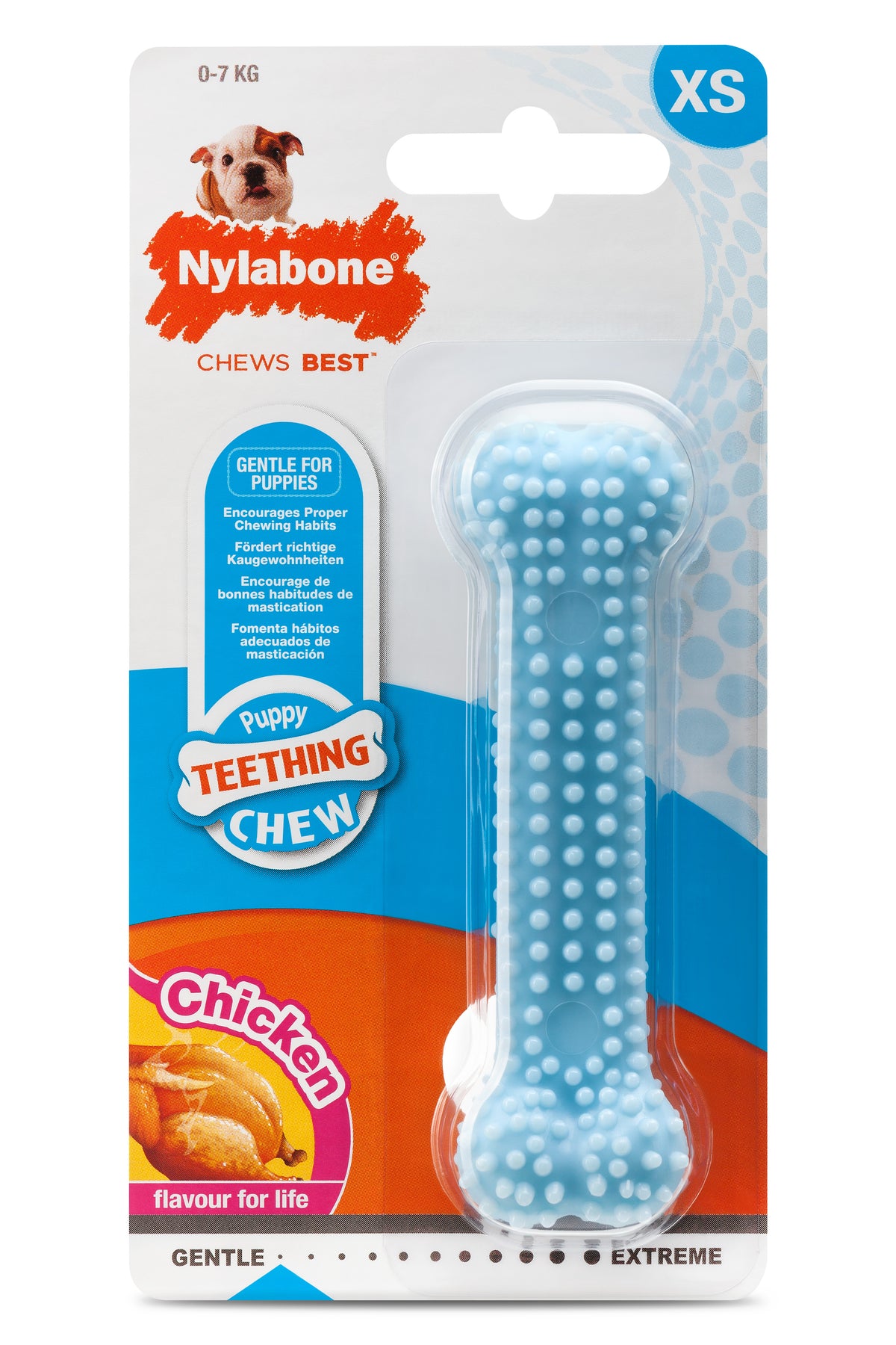 Nylabone Puppy Teething Dental Chew sininen purulelu kana XS
