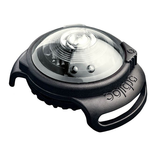 Orbiloc Dog Dual turvavalo kirkas