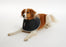 Buster Foam pehmokauluri 15 cm