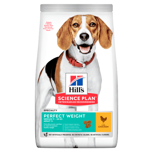 Hill's SP Perfect Weight Medium Adult with Chicken koiralle 12 kg