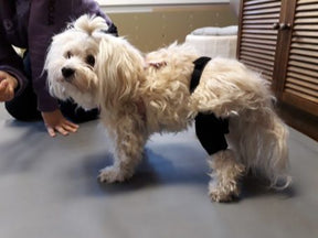 Taituki Polvituki oikea takajalka L