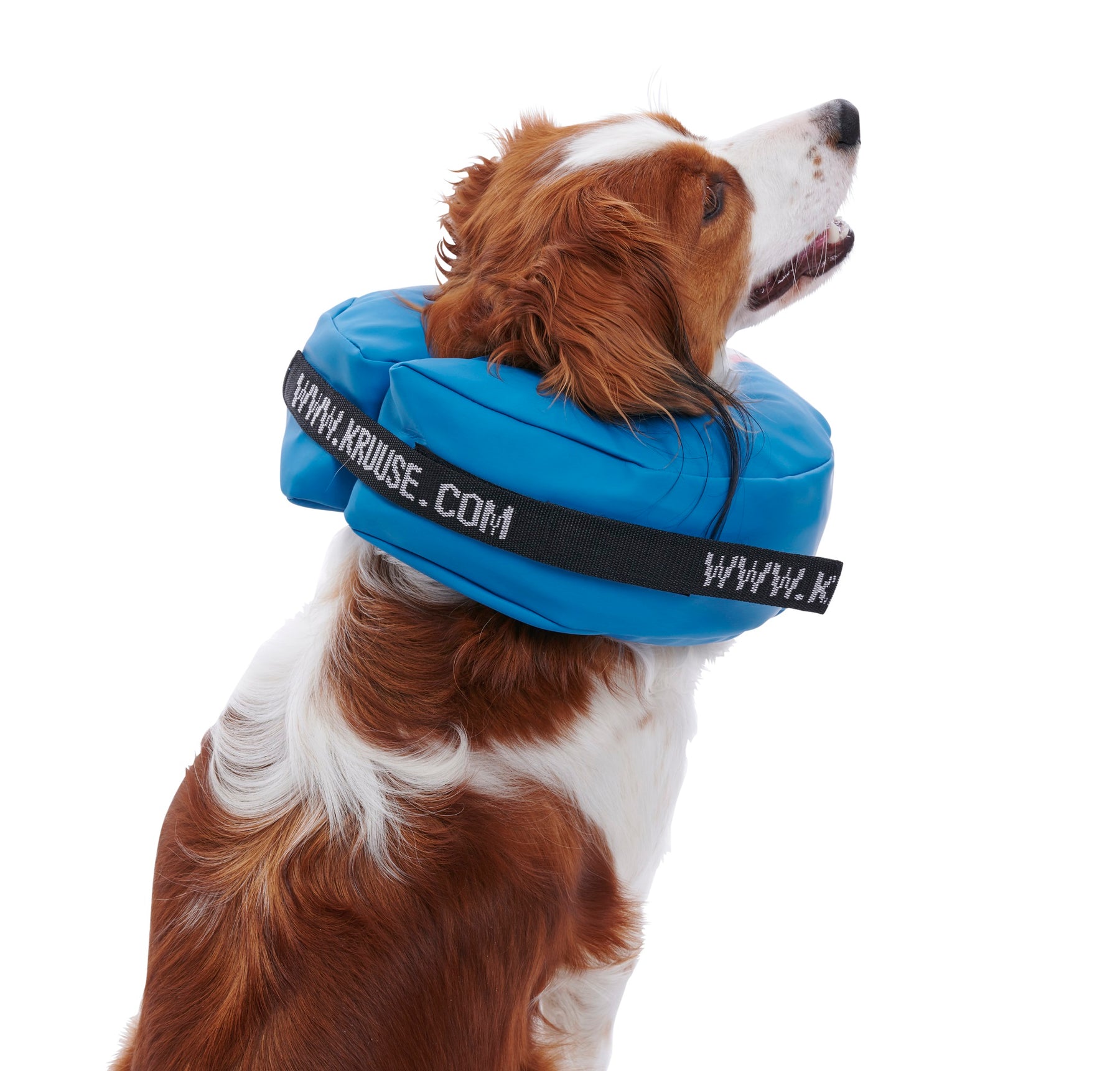 Buster puhallettava kauluri PVC koko XS