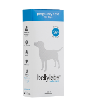 Bellylabs tiineystesti koiralle