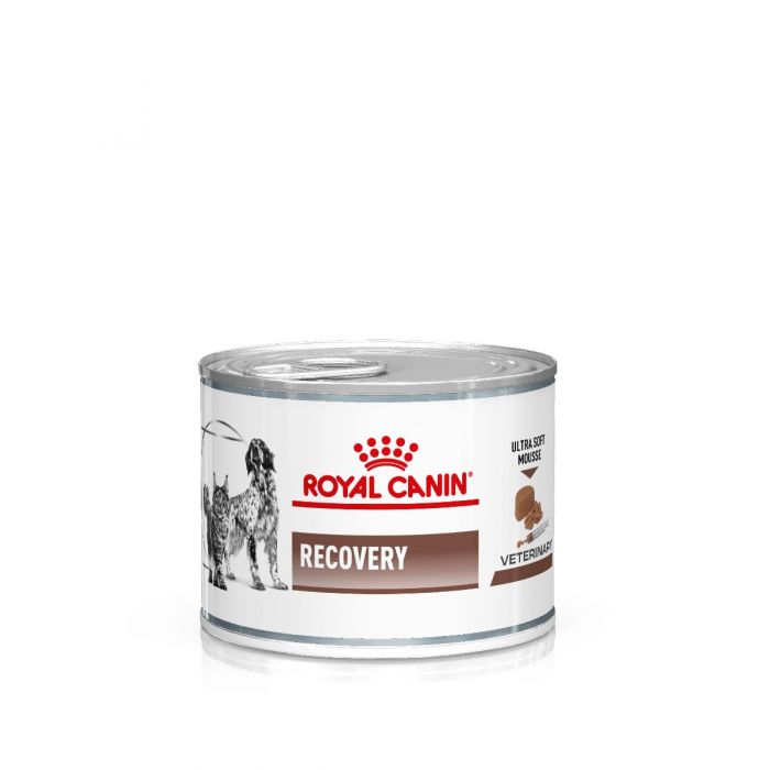 Royal Canin Veterinary Diets Gastrointestinal Recovery Ultra Soft Mousse säilykepurkki kissoille ja koirille märkäruoka 12 x 195 g