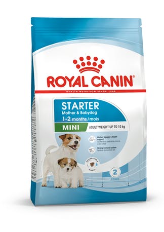 Royal Canin Mini Starter koiralle 8 kg