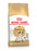 Royal Canin Siamese Adult kissalle 2 kg