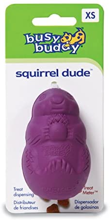 Busy Buddy SquirrelDude XS