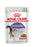 Royal Canin Sterilised Gravy kissalle 85 g MAISTELUPAKKAUS